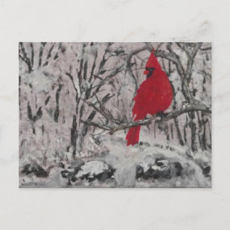 Cardinal in Snow Postcard