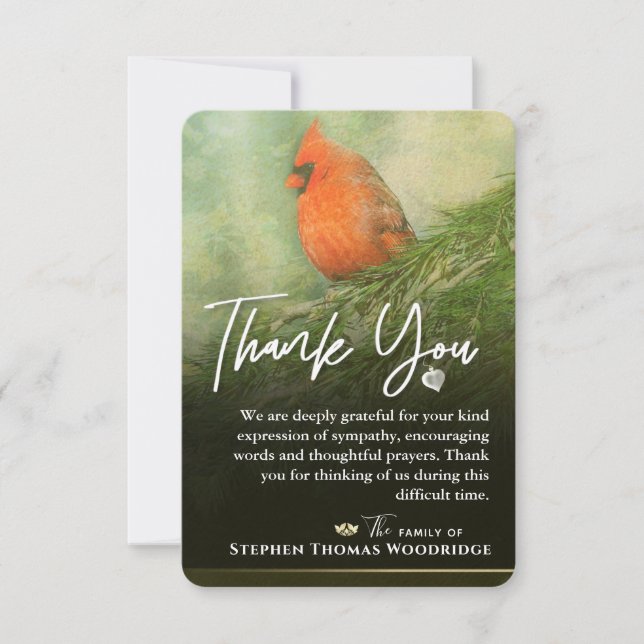 Cardinal in Spruce 3.5 x 5 Sympathy Thank You Card (Front)