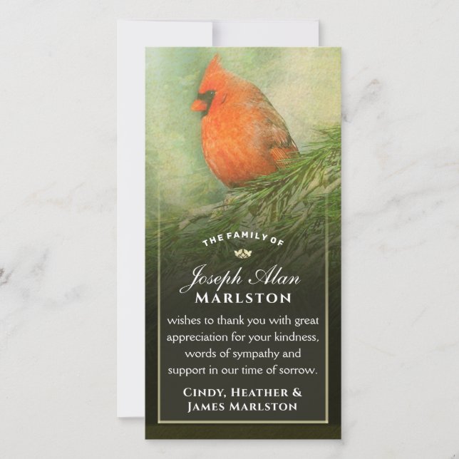 Cardinal in Spruce 4x8  Sympathy Thank You Card (Front)