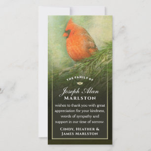 Cardinal in Spruce 4x8  Sympathy Thank You Card