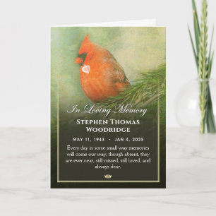 Cardinal in Spruce 5x7 Thank You Sympathy Card