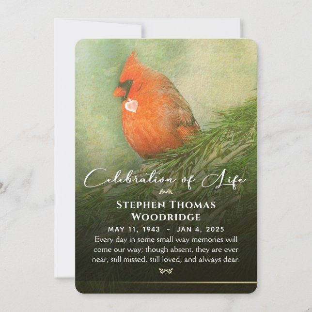 Cardinal in Spruce Celebration of Life 5x7 Invitat Invitation (Front)