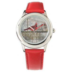 Cardinal in the City Kid's Watch
