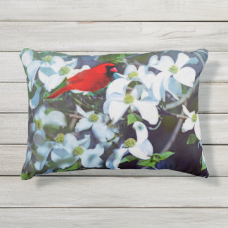 Cardinal in the Dogwood Tree Outdoor Cushion