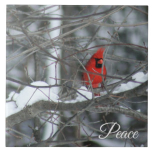 Cardinal in the Snow Tile