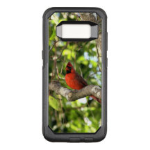 Cardinal in Tree