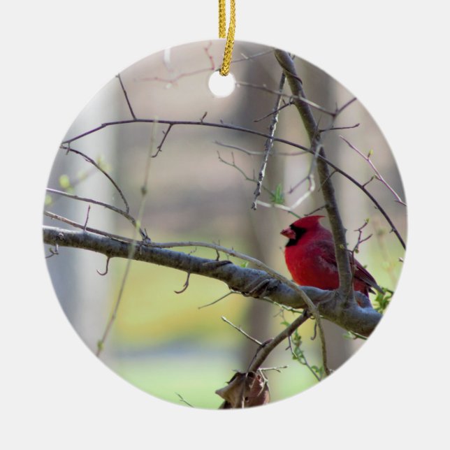 Cardinal in Tree    Ceramic Tree Decoration (Front)
