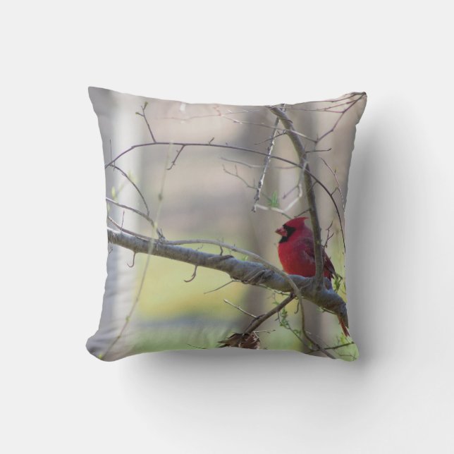 Cardinal in Tree   Cushion (Front)