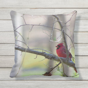 Cardinal in Tree   Cushion