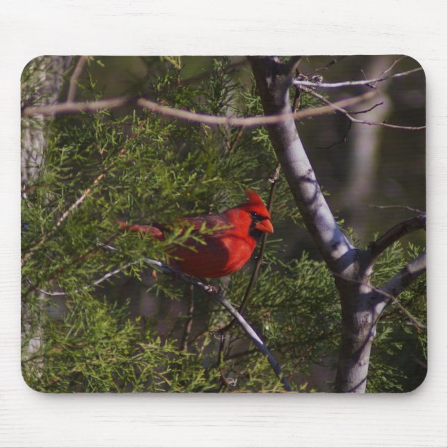 Cardinal in tree mouse mat (Front)