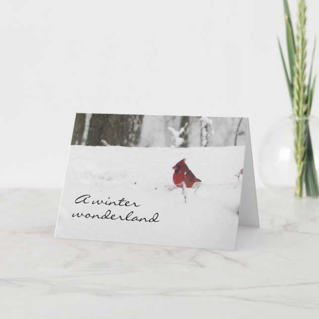 Cardinal in Winter Snow Christmas Holiday Card (Front)