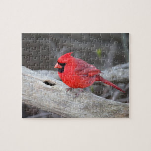 Cardinal in Woods Jigsaw Puzzle