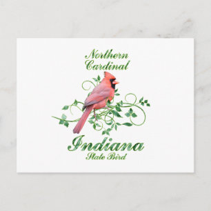 Cardinal Indiana State Bird Postcard