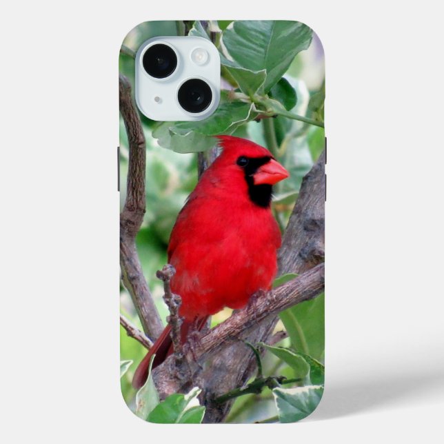 Cardinal iPhone / iPad case (Back)