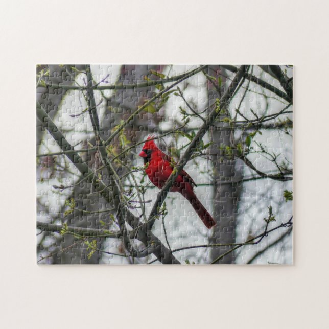 Cardinal Jigsaw Puzzle (Horizontal)