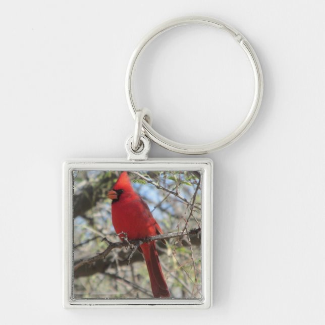 Cardinal Key Ring (Front)