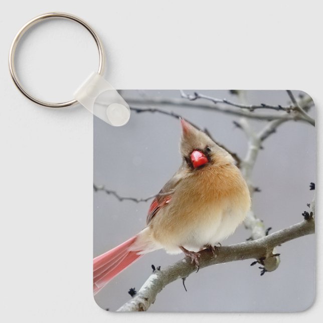 Cardinal_keychain Key Ring (Front)