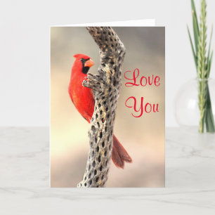 Cardinal  love you holiday card