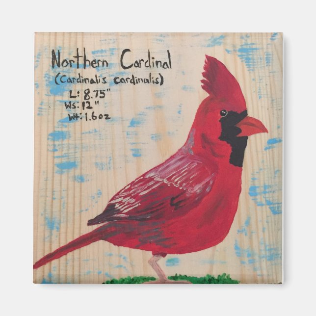 Cardinal Magnet (Front)