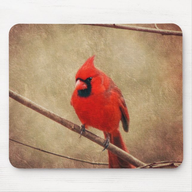 Cardinal Mouse Mat (Front)