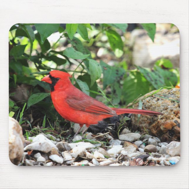 Cardinal Mouse Mat (Front)