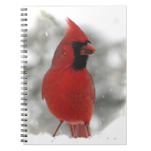 Cardinal Notebook