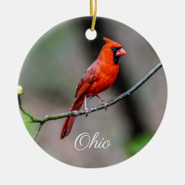 Cardinal Ohio Ornament (Front)
