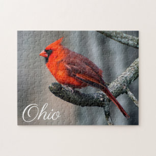 Cardinal Ohio Puzzle