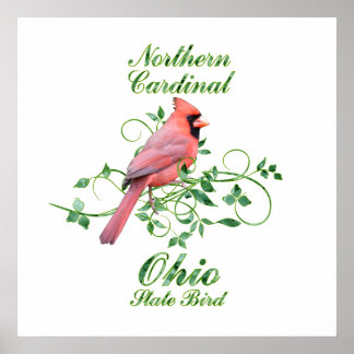 Cardinal Ohio State Bird Poster