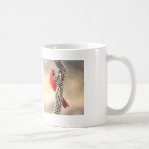 Cardinal on a Cholla Coffee Mug