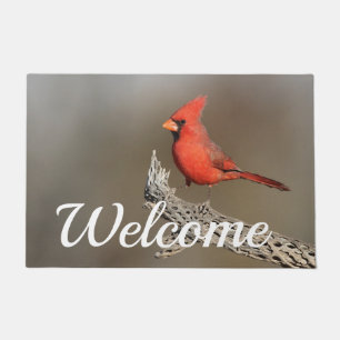 Cardinal on a cholla doormat