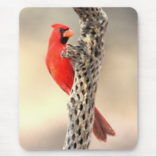 Cardinal on a Cholla Mouse Mat