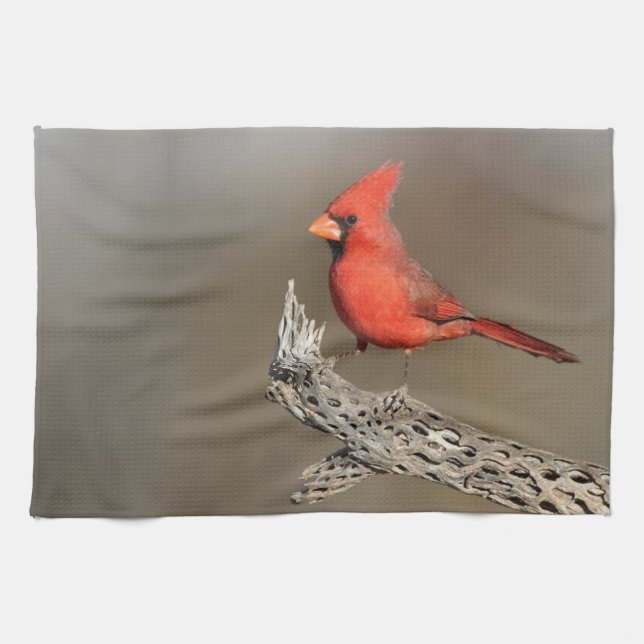 Cardinal on a cholla rib  tea towel (Horizontal)