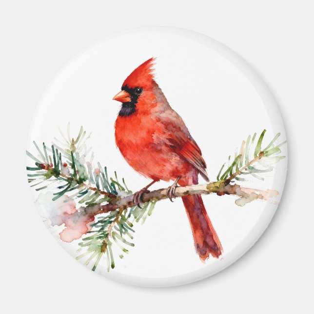 Cardinal on a Fir Branch Magnet (Front)