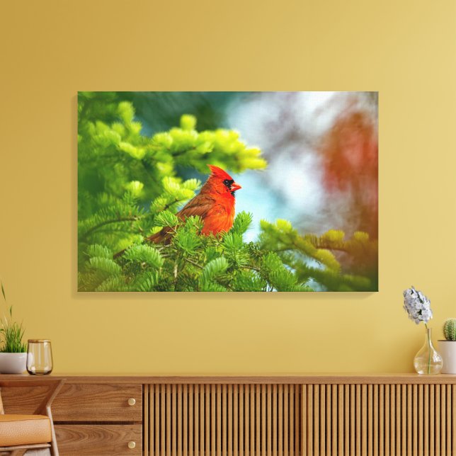 Cardinal On An Evergreen Branch Canvas Print (Insitu(LivingRoom))