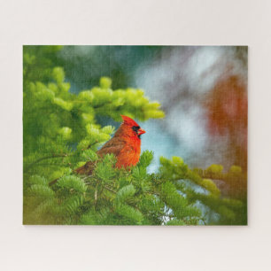 Cardinal On An Evergreen Branch Jigsaw Puzzle