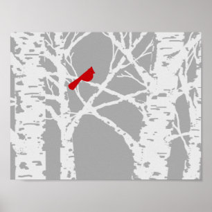 Cardinal on birch tree branch. Poster. Poster