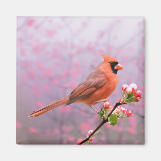 Cardinal on blooming tree magnet