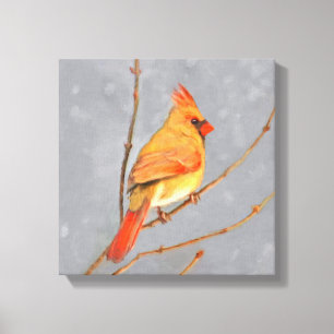 Cardinal on Branch Painting - Original Bird Art Canvas Print