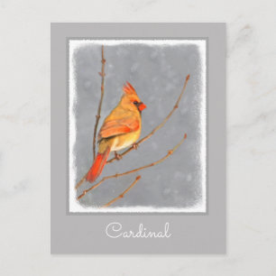 Cardinal on Branch Painting - Original Bird Art Postcard