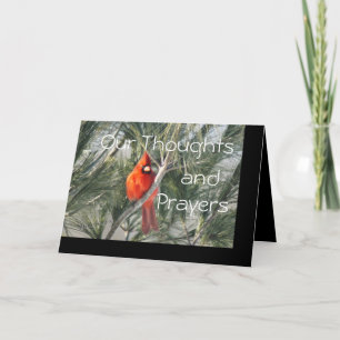 Cardinal on Pine Tree- customise any occasion Card
