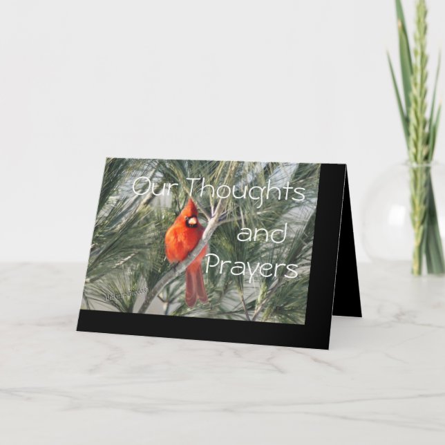 Cardinal on Pine Tree- customise any occasion Card (Front)