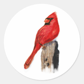 Cardinal on Post Classic Round Sticker