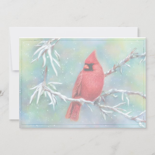 Cardinal on snowy branch budget Christmas Holiday Card (Front)