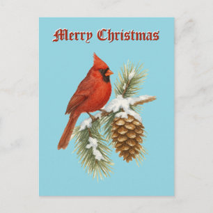 Cardinal On Snowy Pine Tree Christmas Holiday Postcard