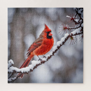 Cardinal On Winter Branch Jigsaw Puzzle