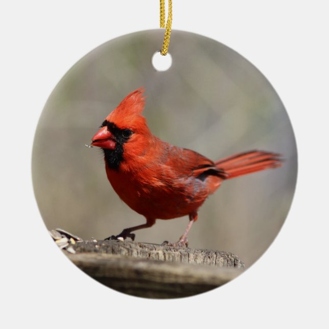 Cardinal ornament (Front)