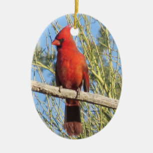 Cardinal Ornament