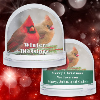 Cardinal Pair in Pine Tree Winter Greetings Custom Snowglobe