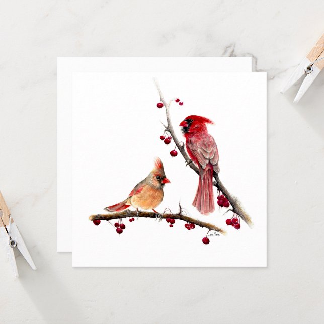 Cardinal Pair Watercolor (Winter Cardinal Pair by Jenn Steffen Art)